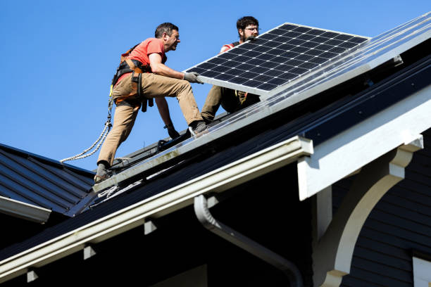 Best Roof Moss and Algae Removal  in Eaton, IN